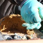 Chantier participatif « nichoirs » – 26.02.22 🗓