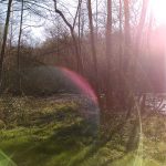 ANNULE – Atelier d&rsquo;expression vocale ⎪ 01-04/23 ⎪ 10h30-12h30 🗓