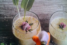 Atelier culinaire : Cuisiner des plantes sauvages comestibles ⎪ certains dimanche ⎪ 9h45-14h30