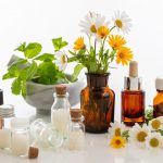 Atelier herboristerie pharmacie d&rsquo;hiver – 19.11.22 🗓