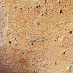 Atelier / Chantier participatif « enduit à la chaux » – 20.12.22 🗓