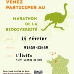 Marathon de la Biod&rsquo;hiver.sité ⎪ 26-02/23 ⎪ 9h30-12h30 🗓