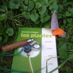Balade botanique « Reconnaître les plantes sauvages comestibles” ⎪ 14-05/23 ⎪ 10h-12h 🗓