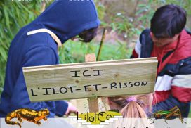 "Darwin et Cie" Club nature ados - 2024.25 / infos